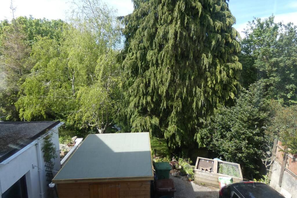 Ferney Croft Apartment Saint Erth Bagian luar foto